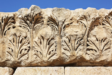 Foral Relief Temple of Hercules Amman Jordan