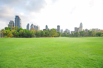 Fototapeta premium Green grass field in big city park