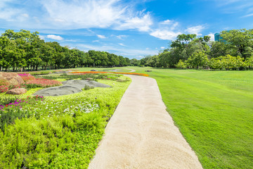 Pathway in green grass field in big city park