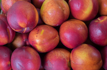 Nectarines for sell at the city market