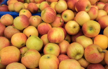Fototapeta na wymiar Yellow red apples for sale at city merket