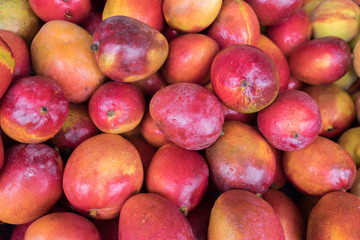 New mango for sale at city market