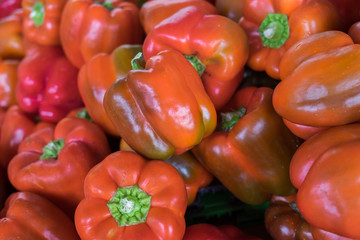 Red orage bell pepperss for sale at the city farmers market