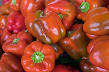 Red orage bell pepperss for sale at the city farmers market