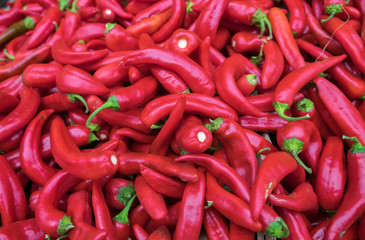 Hot red chilli peppers at farmers market