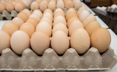 fresh brown eggs in tray sold at local farm market