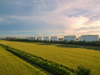 Aerial view. Golden rice field nearly oil tank at sunset