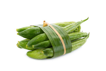 Snake gourd on white background