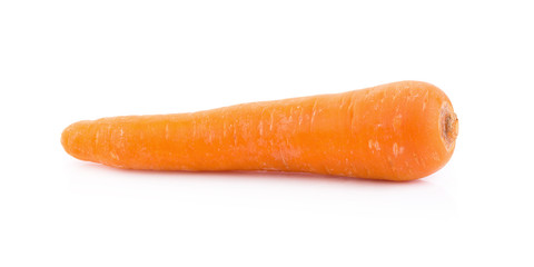carrot on white background