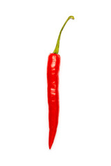 chili pepper isolated