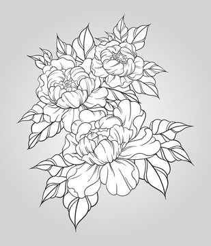 Hand drawn peonies in japanese tattoo traditional style. Floral