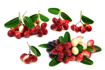 Super fruit and herbs.