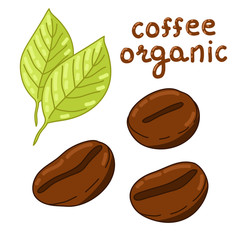 Organic coffee beans