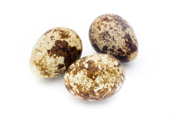 Obraz premium Quail eggs the isolated on a white background.