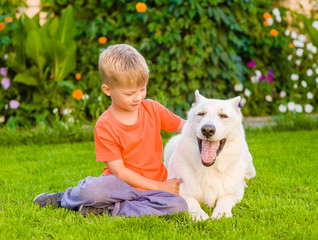 kid and White Swiss Shepherd dog together on green grass