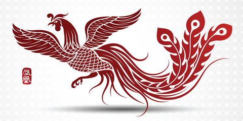 Obraz premium Chinese phoenix vector