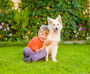 Naklejka na ściany i meble boy embracing White Swiss Shepherd`s puppy on green grass