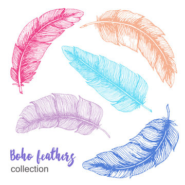 Set of sketchy vintage feathers