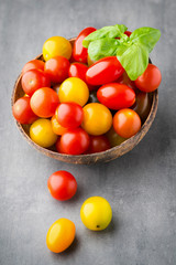 Tomatoes an gray background. Colorful tomatoes, red tomatoes, ye