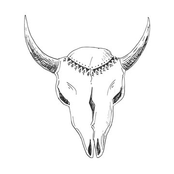 Hand-drawn bull skull with native ornament