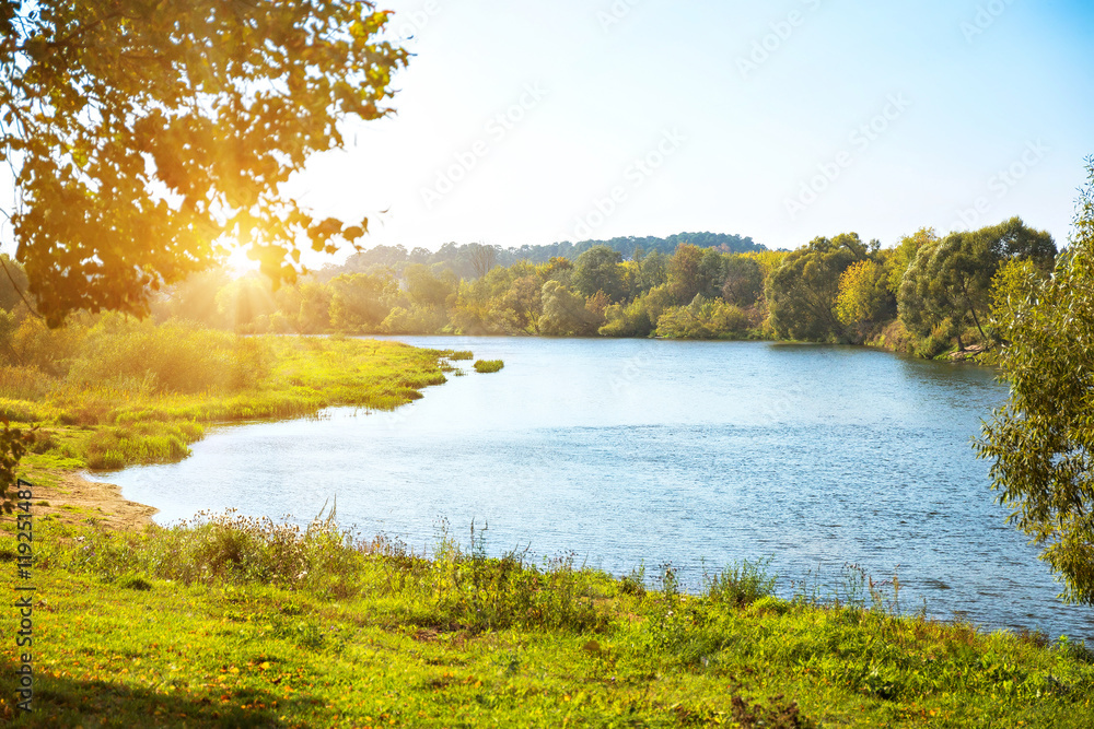 Wall mural river bank on sunny day