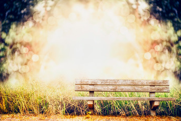 Empty bench on autumn or summer nature background, outdoor