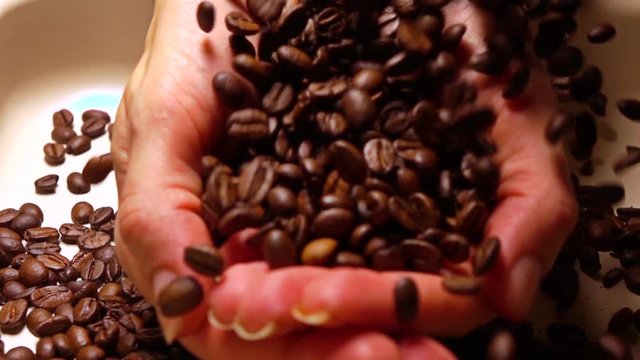 Pouring coffee beans into woman hands, super slow motion shot
