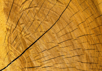 wood texture and background
