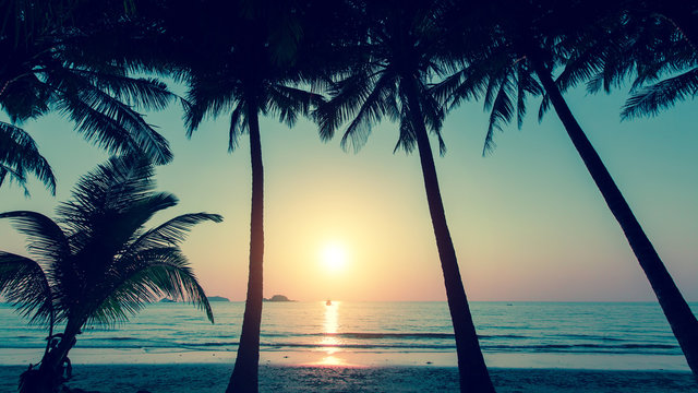 Sunset and silhouette of palm trees on the beach.