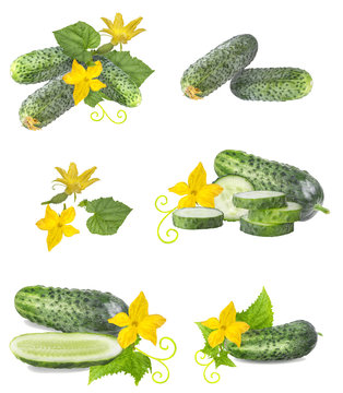Cucumber isolated with leaf and flower over white