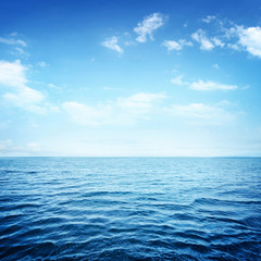 Plakat Blue sea