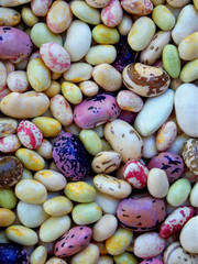 background beans of different varieties and colors.