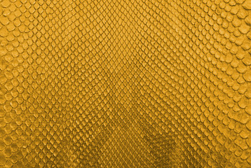 Gold python snake skin texture background.