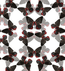 Pattern with butterflies