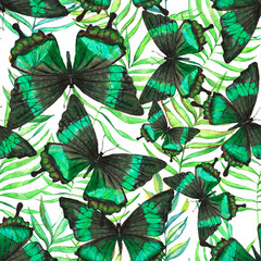 Naklejka premium Pattern with butterflies