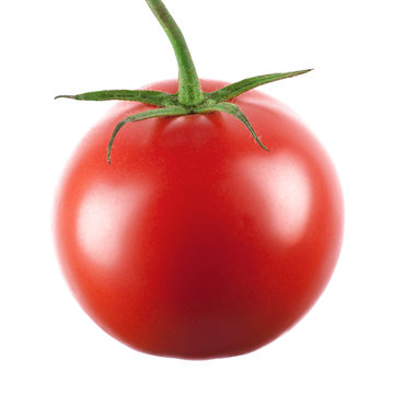 fresh tomato round shape on white background