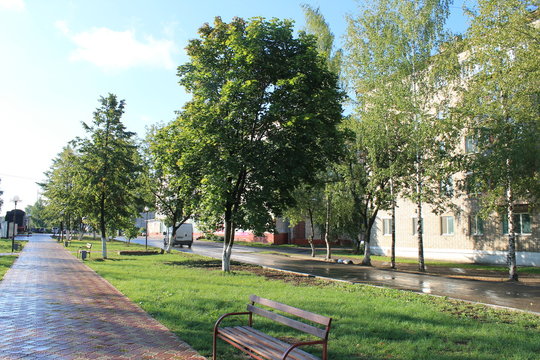 плитка городских аллей