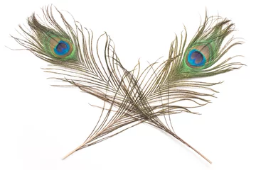 Fotobehang Two peacock feathers isolated on white © gavran333