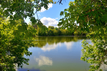 Fototapeta na wymiar Forest Park. River and green trees