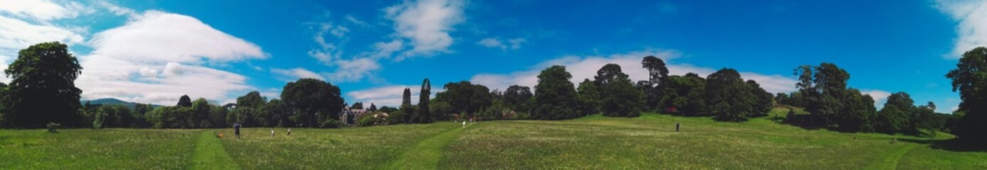 Garden panorama in a sunny day