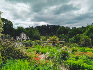View of a garden in Wales