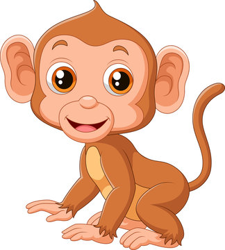 Cute baby monkey 