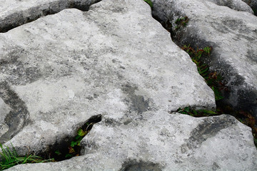 Limestone, The Burren National Park, Ireland