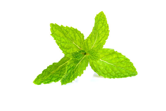 peppermint on white background