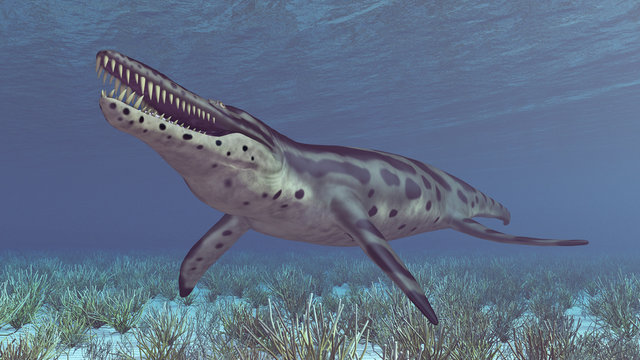 Pliosaurier Kronosaurus