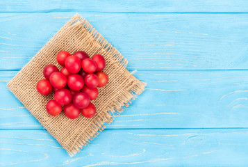 Red cherry plum