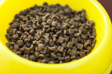 Close-up brown pet food inside yellow bowl 