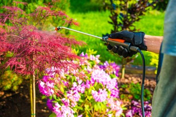 Pest Control in the Garden