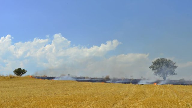 tarla ve anız yangınları