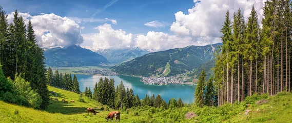 Gordijnen Idyllic alpine landscape with cows grazing and famous Zeller Lake © JFL Photography